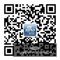 电竞战队阵,容变动,新成员实力,新葡京娱乐城官网,新葡京娱乐城App,新葡京娱乐城下载,新葡京娱乐城登录,新葡京娱乐城平台