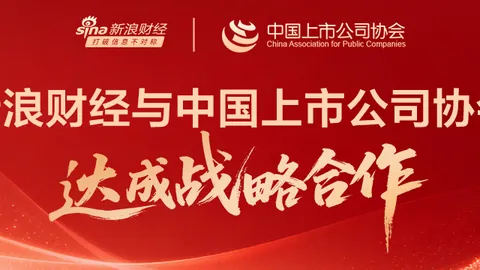 王思雨带伤作战新葡京娱乐城登录：赛前脚痛依旧，高效输出5562助队，正负值17解析
